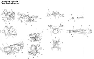 Routage faisceaux Yamaha 125RDX